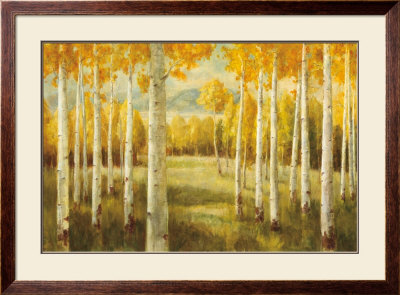 Aspens by Danhui Nai Pricing Limited Edition Print image