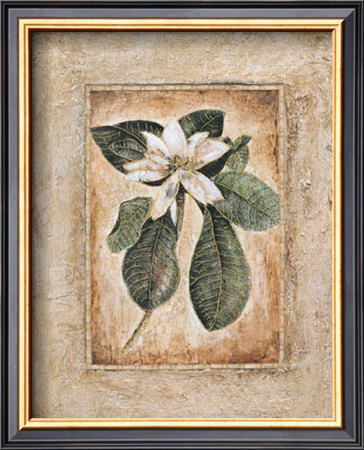 Botanical Texture Ii by Joyce Combs Pricing Limited Edition Print image