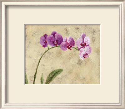 Twilight Orchids by Ven Verltloh Pricing Limited Edition Print image