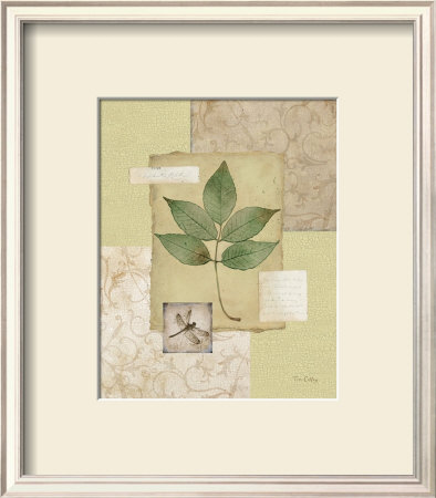 Leaf Collage Ii by Tim Coffey Pricing Limited Edition Print image