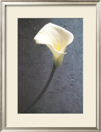 Touch Of Elegance by Harvey Edwards Pricing Limited Edition Print image