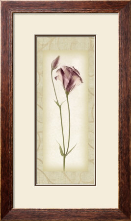 Blossom I, Lisianthus by Donna Geissler Pricing Limited Edition Print image