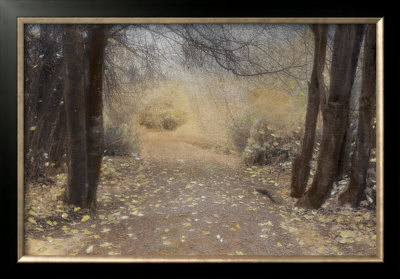 Silent Path by Barbara Kalhor Pricing Limited Edition Print image