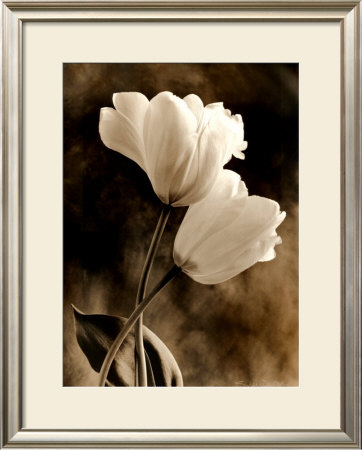 Bending Tulip by Sondra Wampler Pricing Limited Edition Print image