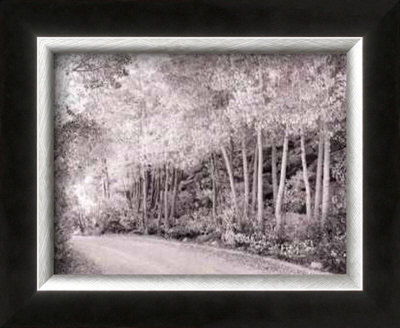 Bishop Aspen Grove by Dennis Dunton Pricing Limited Edition Print image