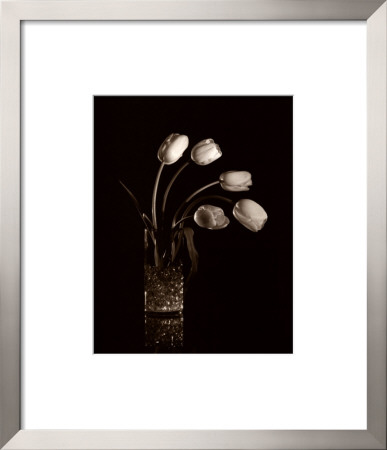 Dramatic Tulips by Dick & Diane Stefanich Pricing Limited Edition Print image
