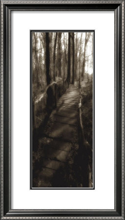 Wooden Path by Steven Mitchell Pricing Limited Edition Print image