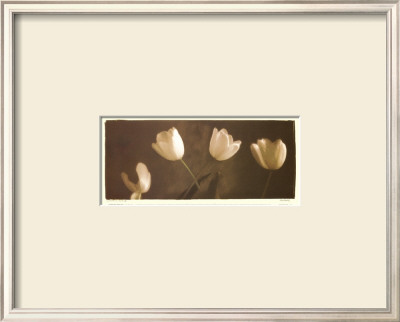 Illuminating Tulips Iii by Judy Mandolf Pricing Limited Edition Print image