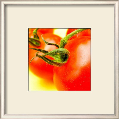 Polaroid Vegetable Iii by Jean-Francois Dupuis Pricing Limited Edition Print image