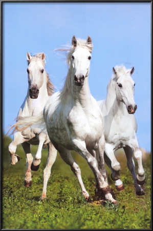 Three Running by Bob Langrish Pricing Limited Edition Print image