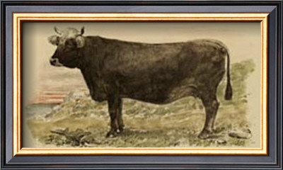 Antique Cow V by Julian Bien Pricing Limited Edition Print image