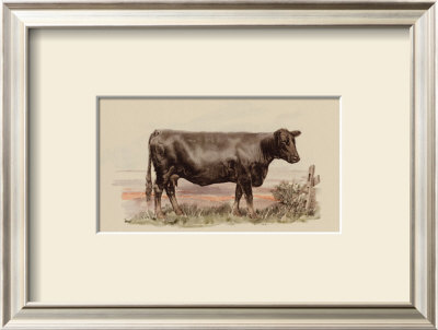 Antique Cow Ii by Julian Bien Pricing Limited Edition Print image