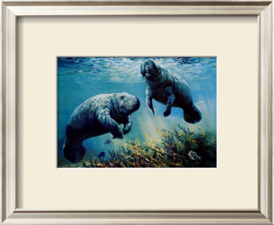 Bathing In Sunlight by Laurie Snow Hein Pricing Limited Edition Print image