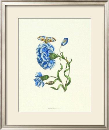 Garden Treasures Ix by Maria Sibylla Merian Pricing Limited Edition Print image