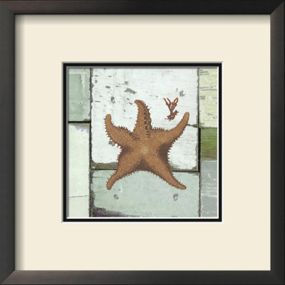 Sea Life Iv by Tammy Repp Pricing Limited Edition Print image