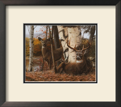 Buck And Doe by Kevin Daniel Pricing Limited Edition Print image