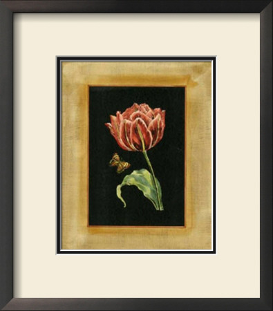 Tulip In Frame I by Deborah Bookman Pricing Limited Edition Print image