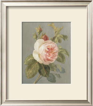 Heirloom Pink Rose by Danhui Nai Pricing Limited Edition Print image