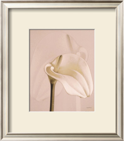 Lily by Judy Mandolf Pricing Limited Edition Print image