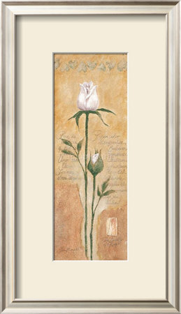 The Beauty Of A Rose by Laura Martinelli Pricing Limited Edition Print image