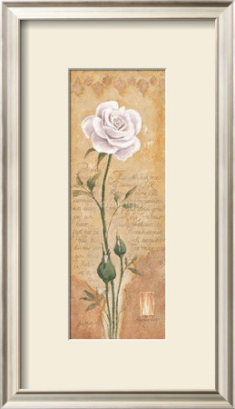 Rose Garden by Laura Martinelli Pricing Limited Edition Print image