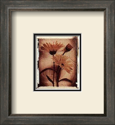 Daisy Study Ii by Ruane Manning Pricing Limited Edition Print image