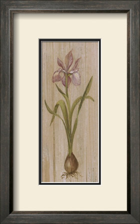 Iris With Bulb by Mar Alonso Pricing Limited Edition Print image