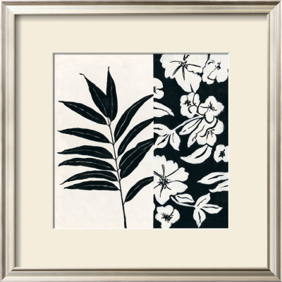 Black And White Iv by Stephanie Marrott Pricing Limited Edition Print image