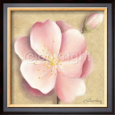 Apple Blossom Iii by Caroline Wenig Pricing Limited Edition Print image