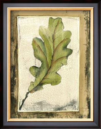 Spring Foliage Vi by Jennifer Goldberger Pricing Limited Edition Print image