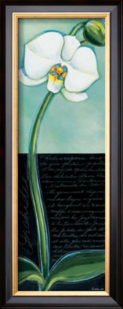 White Orchid by Chantal Godbout Pricing Limited Edition Print image