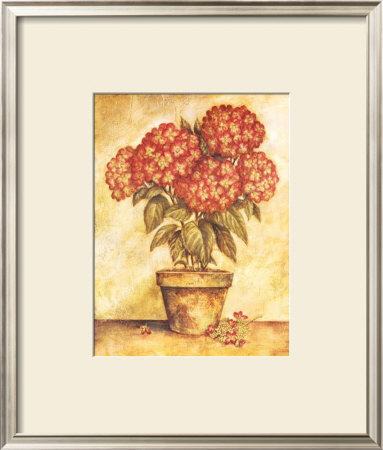 Potted Red Hydrangea by Tina Chaden Pricing Limited Edition Print image