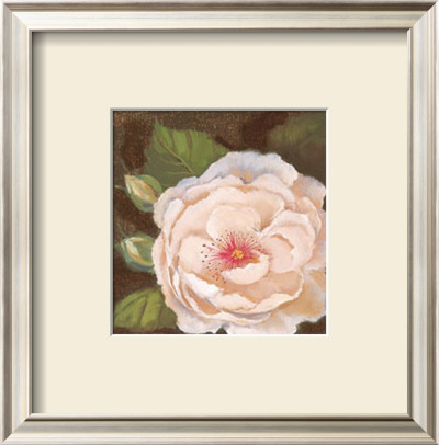 Antique Rose Iv by Jillian Jeffrey Pricing Limited Edition Print image