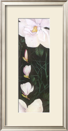 Time Of Flowering Iv by C. Meredith Pricing Limited Edition Print image