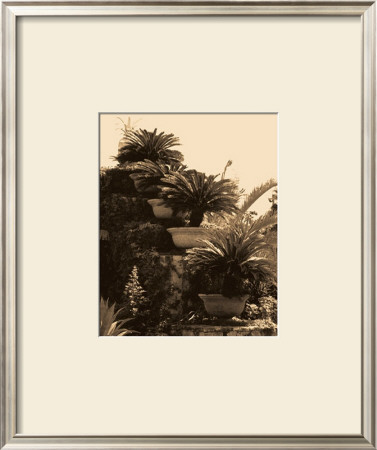 Paradise Garden by Alicia Soave Pricing Limited Edition Print image