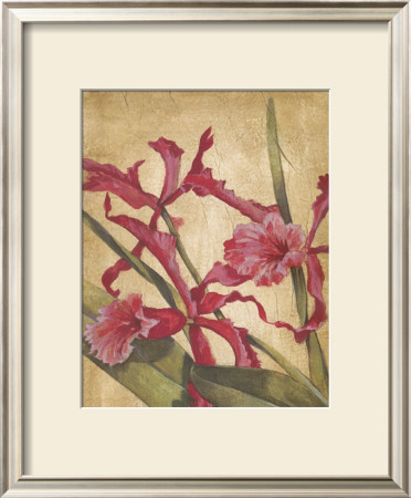 Hawaiian Tropics I by Elizabeth Jardine Pricing Limited Edition Print image