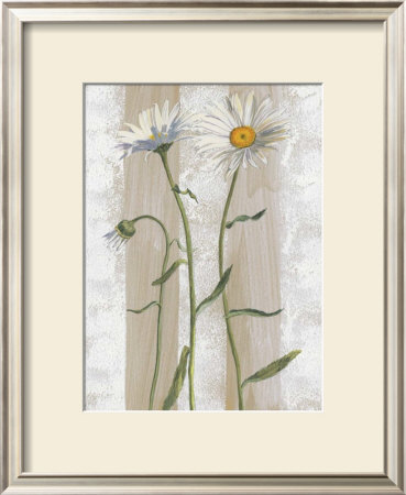 Daisies by Valerie Roy Pricing Limited Edition Print image
