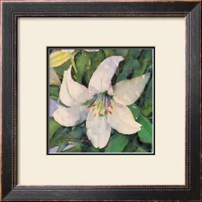 White Lily by Shirley Felts Pricing Limited Edition Print image