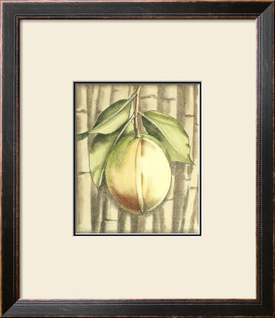 Fruit And Bamboo Iv by Ethan Harper Pricing Limited Edition Print image