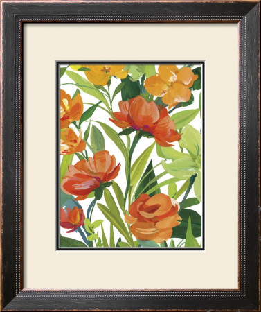 Orange Border Beauty by Martha Collins Pricing Limited Edition Print image