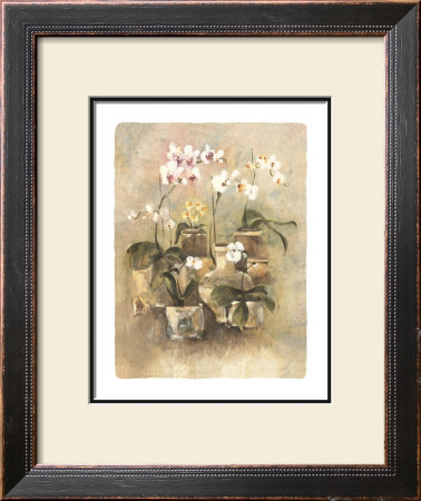 Arrangement Of Orchids Ii by Cheri Blum Pricing Limited Edition Print image