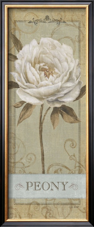 Pretty In Peony Ii by Lisa Audit Pricing Limited Edition Print image