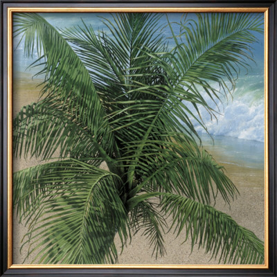 Trade Winds by Jacquelynn Kresman Pricing Limited Edition Print image