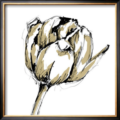 Tulip Sketch Ii by Ethan Harper Pricing Limited Edition Print image