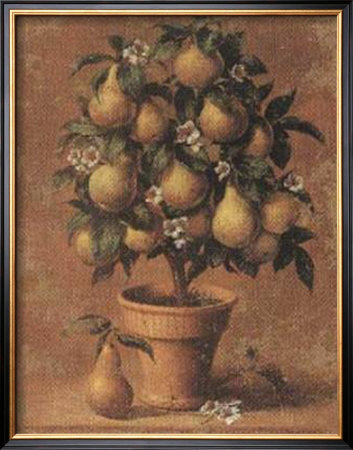 Pear Tree by Joaquin Moragues Pricing Limited Edition Print image