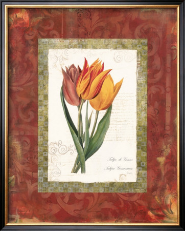 Tulip De Gesner by Carol Robinson Pricing Limited Edition Print image
