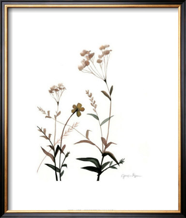 Watermark Wildflowers Vii by Jennifer Goldberger Pricing Limited Edition Print image