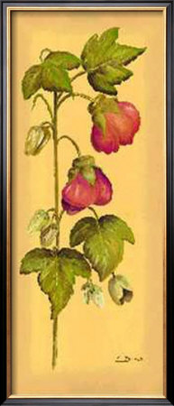 Flores Colgantes I by L. Romero Pricing Limited Edition Print image