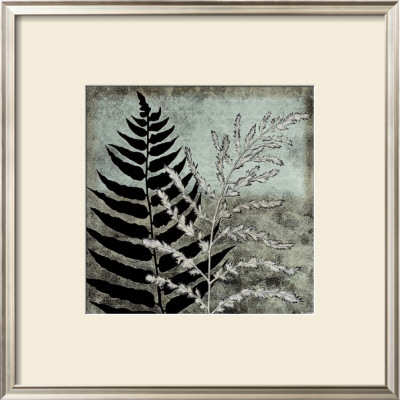 Illuminated Ferns Iii by Megan Meagher Pricing Limited Edition Print image