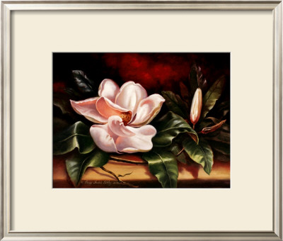Magnolias On Red Ii by Peggy Thatch Sibley Pricing Limited Edition Print image